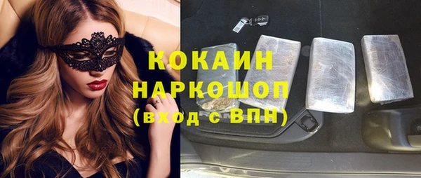 тгк Бородино