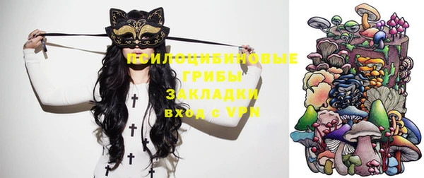 гидропоника Богородицк