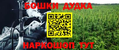 PSILOCYBIN Балахна