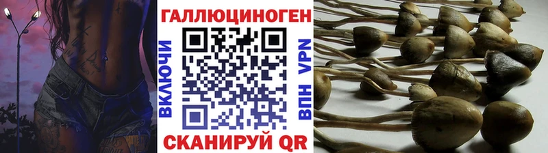 mega ссылки  Вичуга  нарко площадка Telegram  Псилоцибиновые грибы прущие грибы 