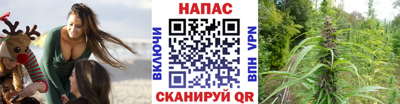 Бошки марихуана White Widow Вичуга