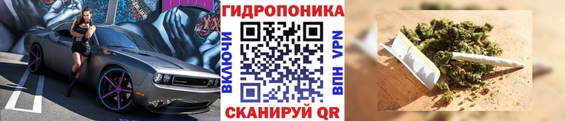 Шишки марихуана гибрид  как найти   Вичуга 